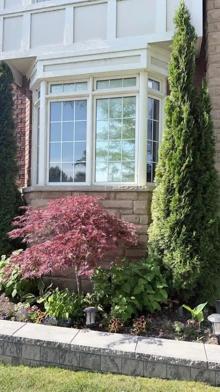 Window Film